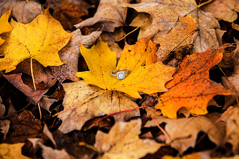 Tony+Victoria-Engagement-293